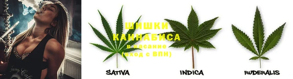 дурь Нягань