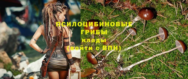 дживик Новодвинск