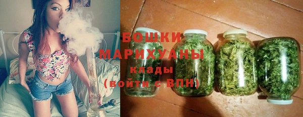 дживик Новодвинск