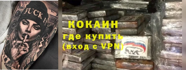 дживик Новодвинск