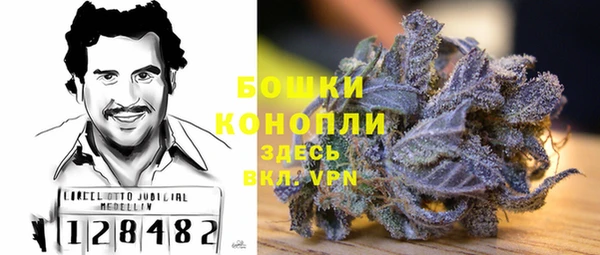 дурь Нягань