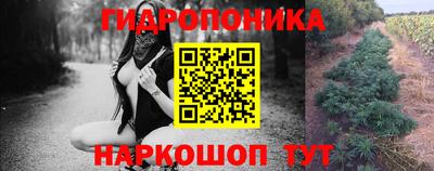 прущие грибы Балахна