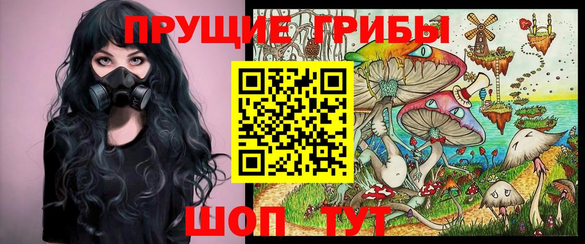 Псилоцибиновые грибы Cubensis Заинск