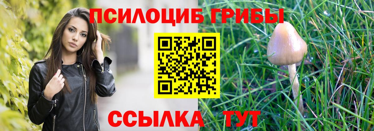 Псилоцибиновые грибы GOLDEN TEACHER  Галлюциногенные грибы мицелий  Вход с VPN  Заинск 